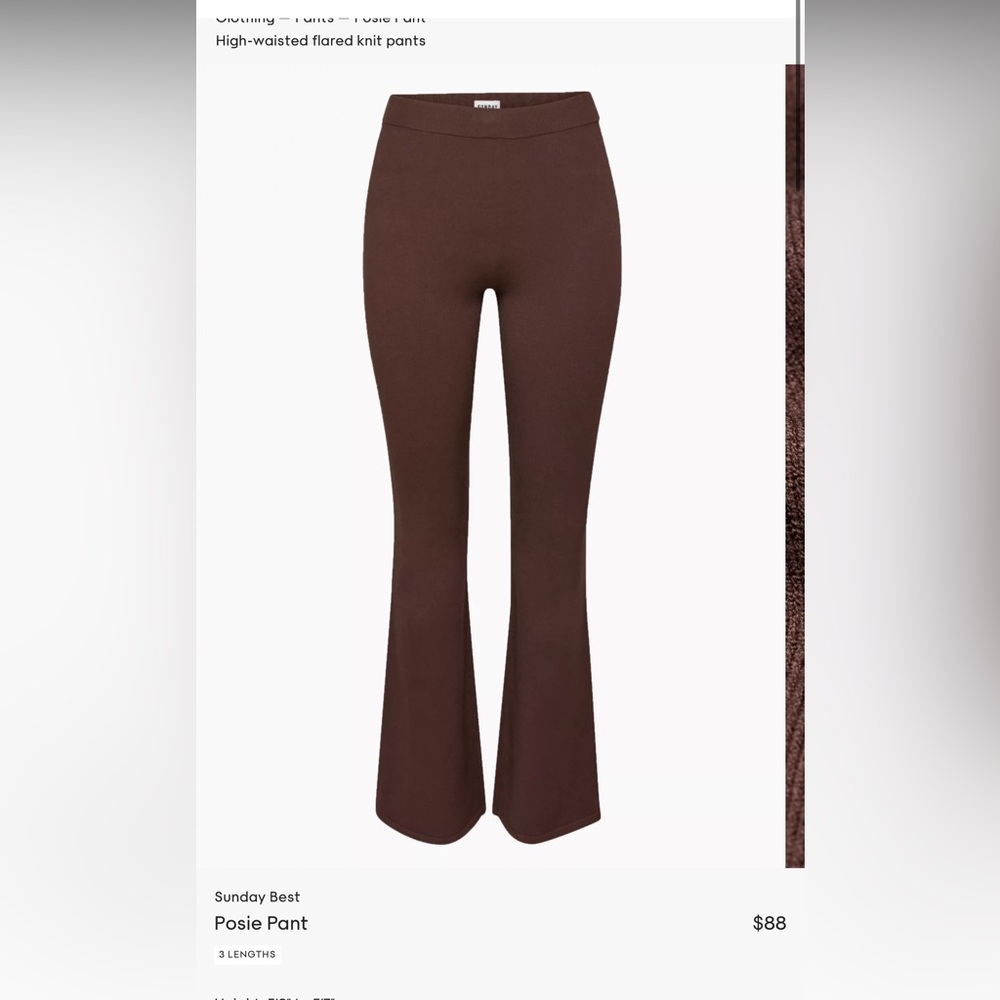 ARITZIA SUNDAY BEST Posie Pant in Brown